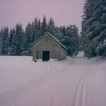 Zima na Suchých studánkách. Foto Michal Rejžo Pavlík